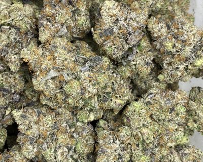 PINK ZOMBIE (EXTREME GAS) - Image 1